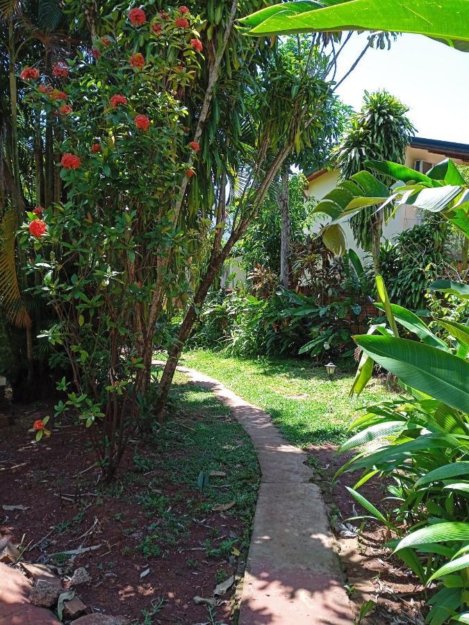 Auberge de jeunesse Garden Stone à Puerto Iguazú Extérieur photo